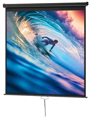 Productafbeelding van HOMCOM Beamerdoek, 178 x 178 cm, 99 inch, 1:1 HD 4K projectiescherm