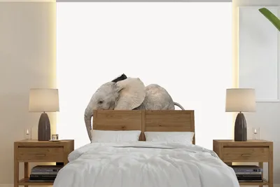 Produktbild von MuchoWow® Fototapete für Wohnzimmer oder Schlafzimmer Wandtapete Vinyl Motivtapete Baby-Elefant - Tiere - Kinder - Mädchen - Jungen - 220x220 cm - Kindertapete - Tapeten