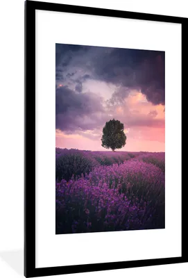 Produktbild von MuchoWow® Gerahmtes Poster Lavendel - Lila Blumen - Baum - Natur 60x90 cm - Poster mit Schwarzem Bilderrahmen Wandposter Rahmen Foto Bilder - Dekoration - Wandposter Wohnzimmer - Hochwertig