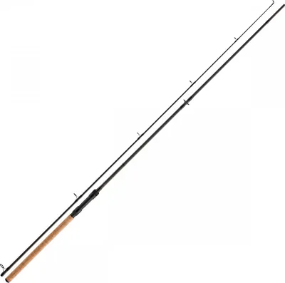 A fishing rod is shown against a white background.