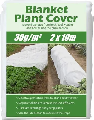 Image de KAHEIGN 2x10M Non-tissé d'hiver pour plantes 30g/m² Non-tissé de protection contre le gel