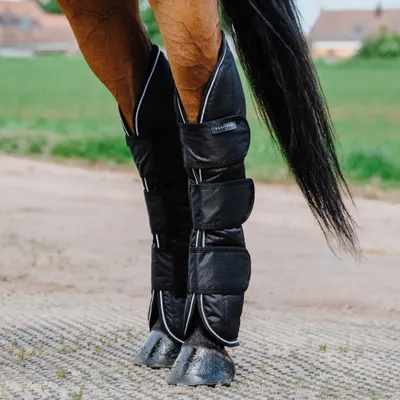 Produktbild von Equithème 600D Transport-Gamaschen, Größe:Warmblut, Farbe:schwarz
