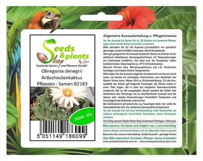 Produktbild von 10x Obregonia denegrii Artischockenkaktus Pflanzen - Samen B2183