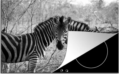 Produktbild von KitchenYeah© Herdabdeckplatte Zwei Zebras , 81x52cm, Küche Deko, Glaskeramikkochfeld Herdabdeckung, Abdeckplatte fùr Kochfeld