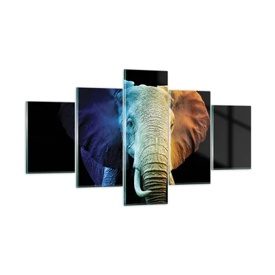 Produktbild von Bilder auf glas - 5 Teile - Bunt Elefant Fotografie - 125x70cm - Glasbilder - Wandbilder - Bilder - zum Aufhängen bereit - Wanddekoration aus Glas - Glas Bilder - Wandbild auf Glas - GEA125x70-4768