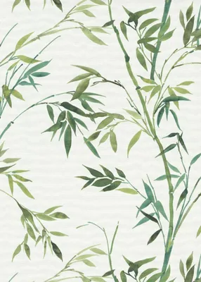 Obrázek produktu pro Erismann Tapeta průhledná zelená - 661614 - 53 cm x 10,05 m