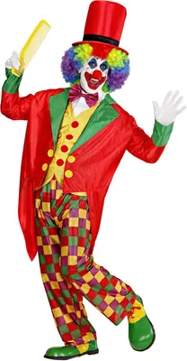 A clown in a colorful costume posing against a white background.