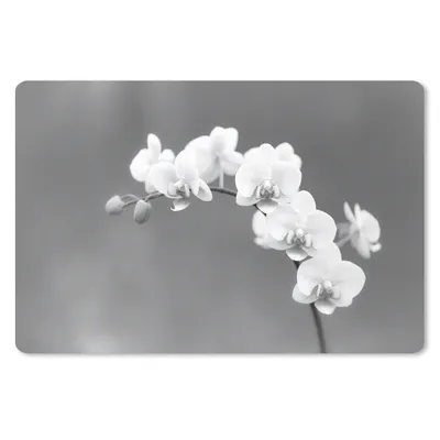 Produktbild von MuchoWow® Schreibtischunterlage Orchidee - Blumen - Pflanze - Weiß - Lila 60x40 cm - XXL Mauspad - Großes Mauspad