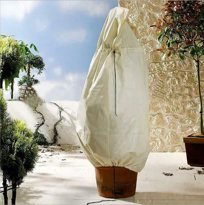 Obrázek produktu pro Zimní ochrana Ochrana rostlin proti mrazu Palmy 100x80cm