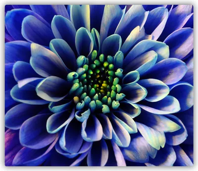 Produktbild von Tulup Glas Herdabdeckplatte Glaskeramikkochfeld-Abdeckung Spritzschutz Glasabdeckplatte Kochplattenabdeckung und Schneidebrett - Einteilig - 60x52 cm Aster
