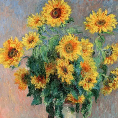 Produktbild von Claude Monet Kunstdruck Bild - Sonnenblumenstrauß. 1880 (40 x 40 cm)