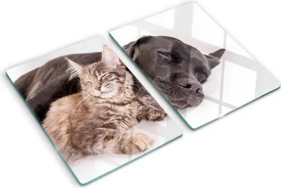 Produktbild von Tulup Glas Herdabdeckplatte - 2x40x52 cm - Glaskeramikkochfeld-Abdeckung Spritzschutz Glasabdeckplatte Kochplattenabdeckung und Schneidebrett - Zweiteilig - Tiere - Hund und Katze - Braun