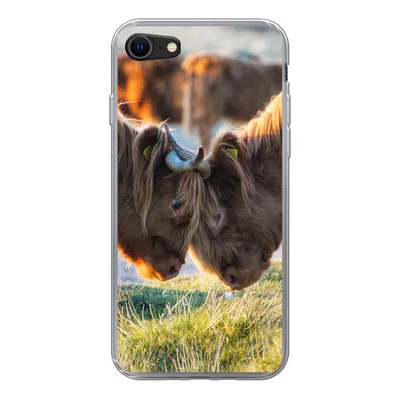Produktbild von MuchoWow® Handyhülle Schutzhülle Hülle für iPhone SE 2020 Schottische Highlander - Tiere - Sonne Silikon Softcase Handy Hülle - Kartenbesitzer