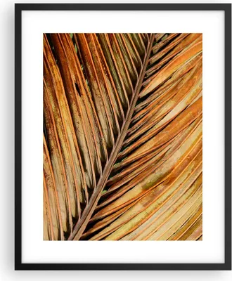 Produktbild von Gerahmtes Poster - Schwarzer Rahmen - Orange Blatt Tropisch - 40x50 cm - Wand Bild - Wanddeko - Wandbilder - Kunstposter - Wandposter - Bilderrahmen - Bilder - Kunstdruck - P2BPA40x50-4876