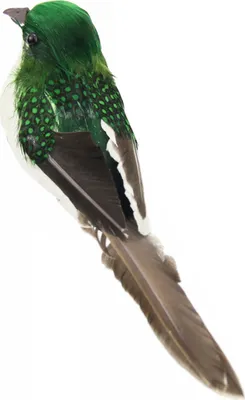 Produktbild von Vogelfigur realistische Gartendekoration Kunstwerk Künstlich gefiederter Schaum Vogel für den Innenhof-Grün