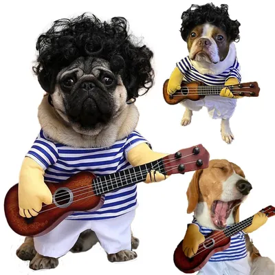 Image de Costume pour chien et chat - Déguisement amusant pour Halloween