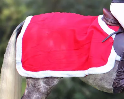 Immagine prodotto di Tappeto da equitazione natalizio QHP