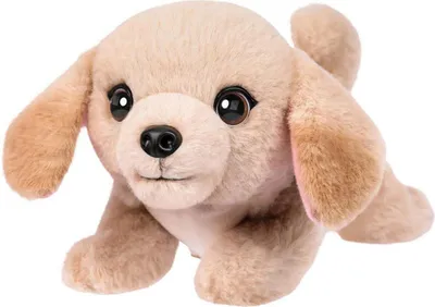 Produktbild von Moose Toys Little Live Pets My Really Real Puppy Mini's - Golden Retriever Buddy, Spielzeug-Hund, 5 Jahr(e), Interaktiv, Mit Ton, AAA