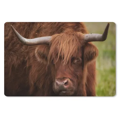 Produktbild von MuchoWow® Schreibtischunterlage Schottischer Highlander - Orange - Tiere 60x40 cm - XXL Mauspad - Großes Mauspad