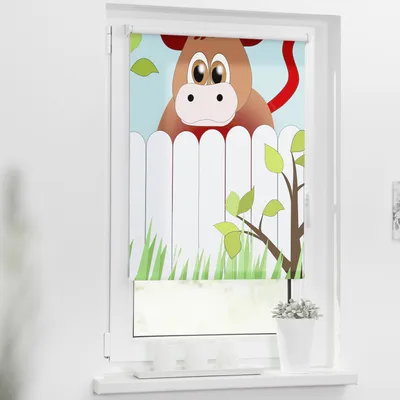Obrázek produktu pro Roleta propouštějící denní světlo 90x150cm Osel Otto