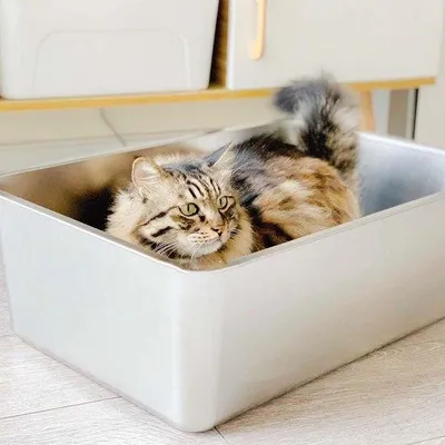 Produktbild von Famanu Katzentoilette aus Edelstahl - Extra großes Design