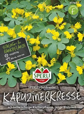 Produktbild von Sperli Kanarische Kapuzinerkresse SPERLI´s Goldranke - Blumensamen