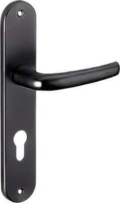 Image de Ensemble de poignées pour porte d'entrée Maia trou de cylindre, carré 7mm, entr'axes 195mm, noir - THIRARD