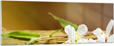 Produktbild von Bilder auf glas - Asien spa bambus blume - 90x30cm - Glasbilder - Wandbilder - Kunstdruck - zum Aufhängen bereit - Wanddekoration aus Glas - Glas Bilder - Wandbild auf Glas - Einteilig - GAB90x30-2499