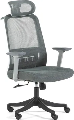 Image de Chaise de bureau ergonomique avec soutien lombaire, accoudoirs et appui-tête réglables - grand confort et design moderne pour le travail et les études