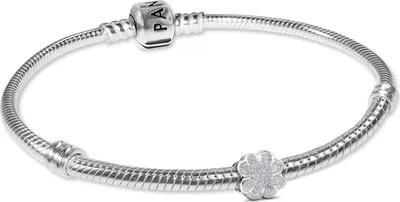 Pandora 21508 Damen-Armband Silber Geschenk-Set mit Mini Kleeblatt matt 1
