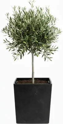 Immagine prodotto di HowHomely | Vaso per piante - Vaso da fiori - L39xH41 cm - nero - Struttura in cemento - Fioriera - Coprivaso - Pratico