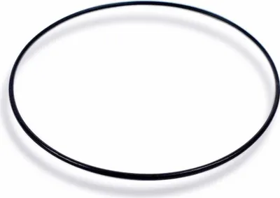 Produktbild von Casio Dichtungsring O-Ring schwarz für MRW-S300H MRW-S300