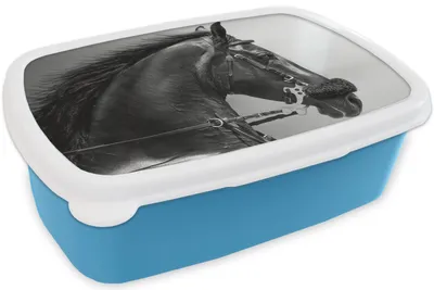 Produktbild von KitchenYeah® Lunchbox Brotzeit Brotdose 17x11 cm Pferde - Schwarz - Porträt - Tiere Kinder Brotzeitdose - Lunch - Kunststoff  - Brotbüchse - Sandwichbox - Lunchbox für Kinder