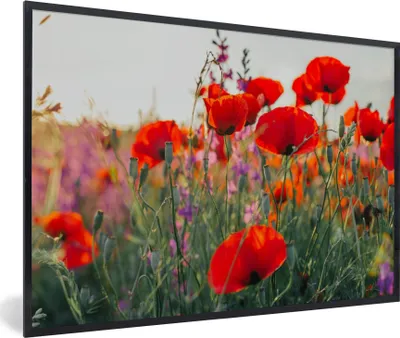 Produktbild von MuchoWow® Gerahmtes Poster Mohn - Blumen - Rot - Lila - Wiese 90x60 cm - Poster mit Schwarzem Bilderrahmen Wandposter Rahmen Foto Bilder - Fotorahmen - Foto-Plakat