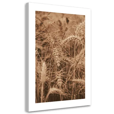 Produktbild von Leinwandbild Getreideähren 80x120 Feeby Beige bild für die wand bereit zum aufhängen