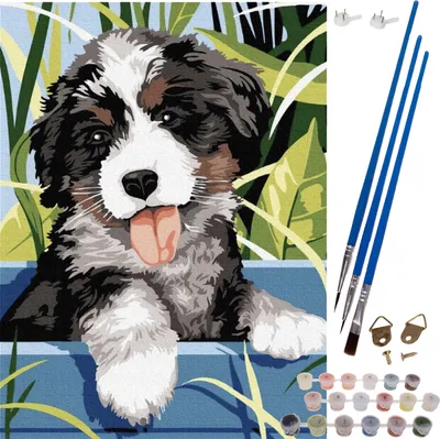 Produktbild von Malen nach Zahlen DIY Leinwand 40x30 cm Pinsel Acrylfarbe 22780