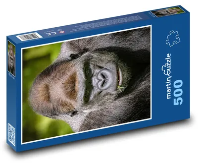 Zdjęcie produktu dla Puzzle 500 Goryl na wolności - martinpuzzle