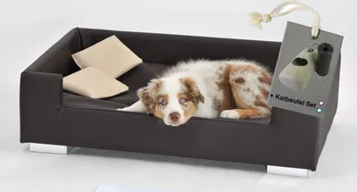 Produktbild von Rohrschneider Hundesofa Hundecouch abwaschbar mit Gassibeutel, Farbe:braun