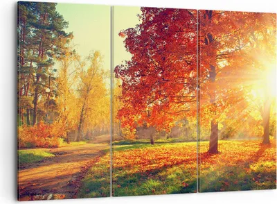 Produktbild von Bild auf Leinwand - Leinwandbild - Park Herbst Baum - 105x70cm - Wand Bild - Wanddeko - Wandbilder - Leinwanddruck - Bilder - Kunstdruck - Wanddekoration - Leinwand bilder - Wandkunst - CE105x70-3654