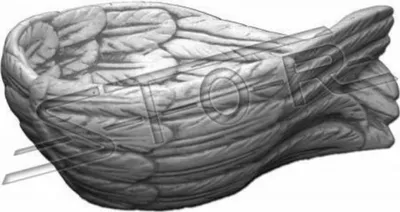Produktbild von Dekoration Gefäße Schalen Schale Engel Flügel Schlüssel Ablage Statue S204078