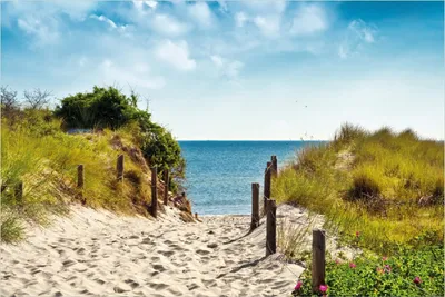 Produktbild von Wallario Poster - Auf dem Sandweg zum Strand, Kunstdruck Größe: 61 x 91,50 cm
