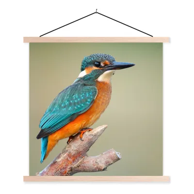 Produktbild von MuchoWow® Textilposter Vogel - Eisvogel - Zweig 40x40 cm mit holzfarbenen Rahmen - Posterleiste