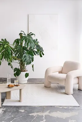 A modern living room with a large Monstera plant, a beige armchair, a coffee table with a croissant, and a rug.