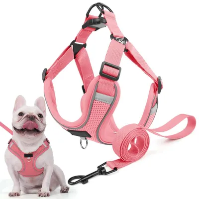 Produktbild von Hundegeschirr Anti Zug Reflektierend mit Leine Pink L