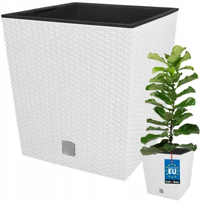 Produktbild von Kotarbau Rattan-Optik Pflanztopf Weiß Quadratisch 32 cm