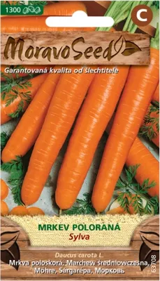 Immagine prodotto di Carota carota SYLVA 63708
