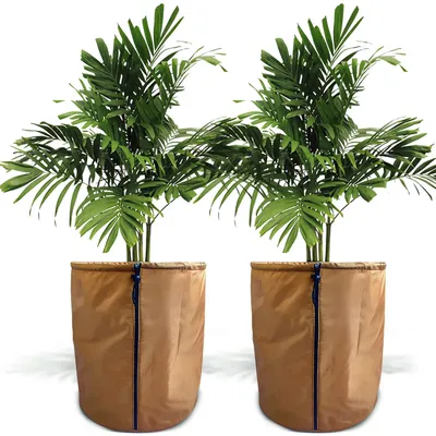 Zdjęcie produktu dla Thermo Topfschutz: Ochrona roślin w doniczkach na zimę, 45x50 cm, ochrona roślin doniczkowych przed zimą