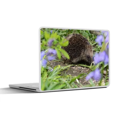 Produktbild von MuchoWow® Laptop Aufkleber Sticker Cover Igel hinter Blumen 31x22.5 cm - Laptop-Deko