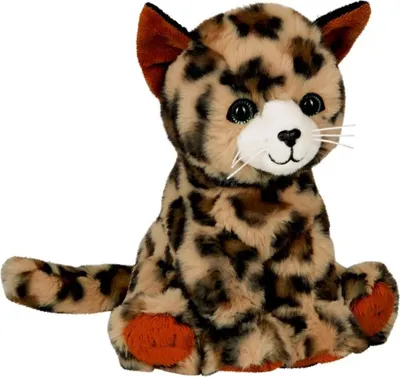 Produktbild von Coppenrath Verlag KG Katze Cleo 0 0 STK