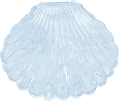 Produktbild von Transparente Muschelform Schmuck Halskette Armband Aufbewahrung Organizer Box Fall-Blau